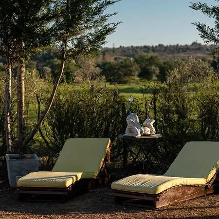 Quinta Das Lameiras Villa *